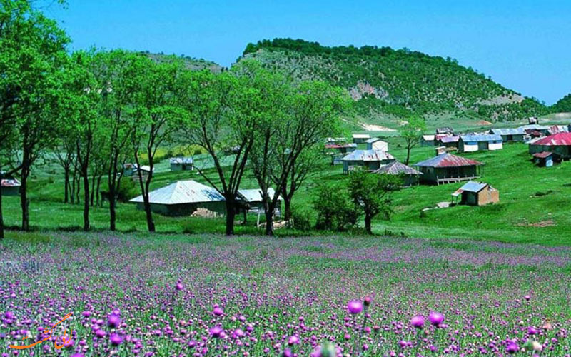 طبیعت سربز جهان نما طبیعت سربز جهان نما
