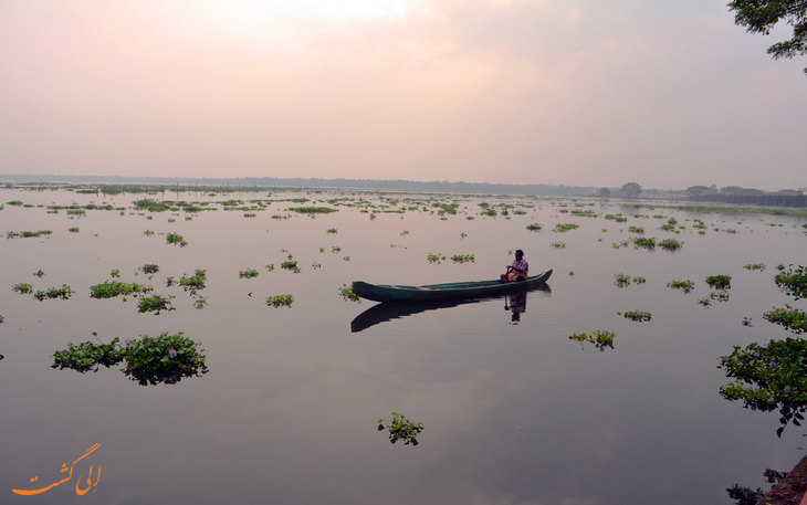 kerala.jpg