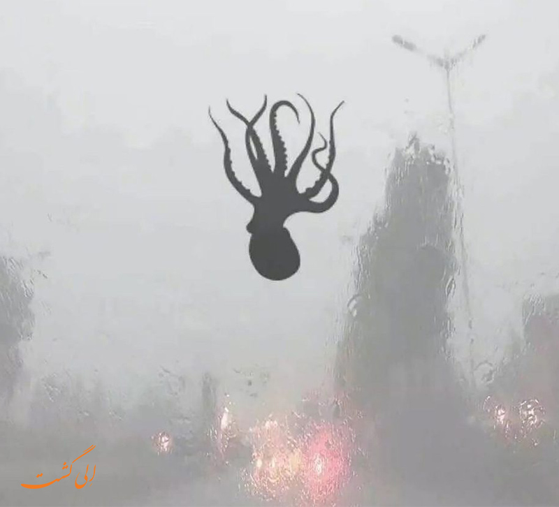 باران ماهی در چین