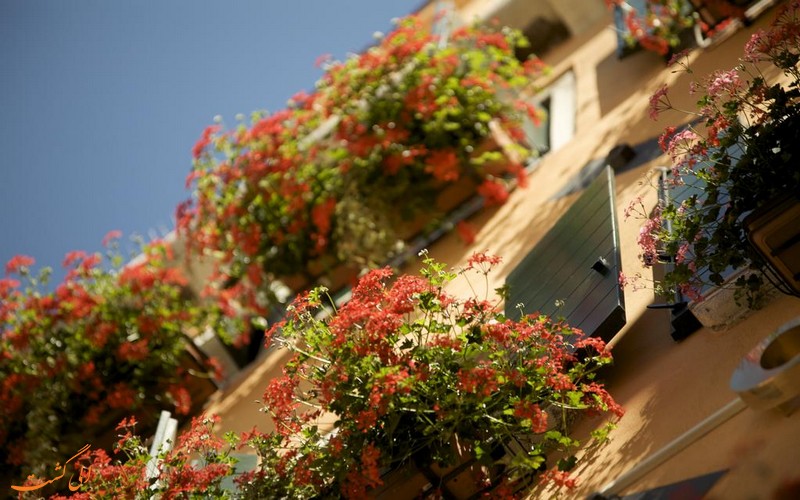 ال کدگا ونیز ال کدگا ونیز