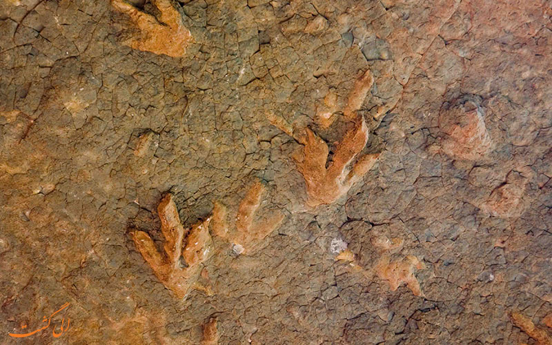 جای پا جای پا