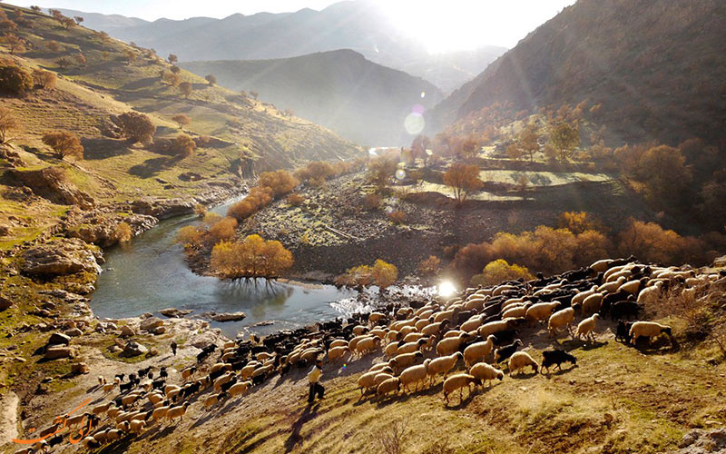 ایران ایرانایران
