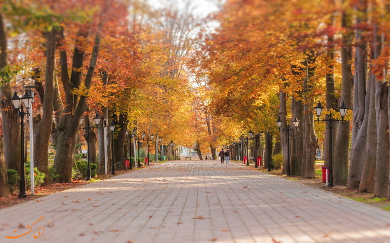 زیبایی پارک شهر زیبایی پارک شهر
