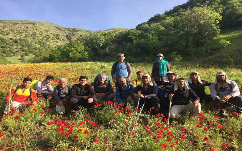 طبیعت اطراف روستای نگل در بهار طبیعت اطراف روستای نگل در بهار