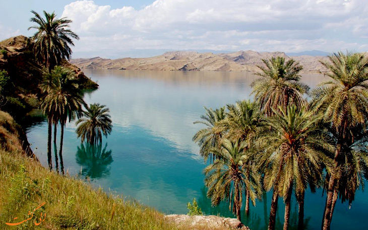 درختان نخل در دریاچه دزفول درختان نخل در دریاچه دزفول