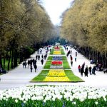 آشنایی با باغ دریایی وارنا در بلغارستان