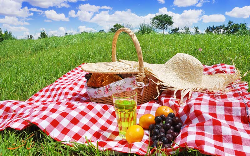 سفر یک روزه به اطراف شهر سفر یک روزه به اطراف شهر