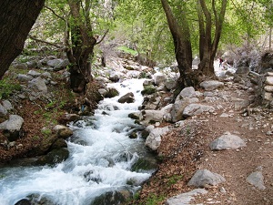 روستای مال آقا - الی گشت