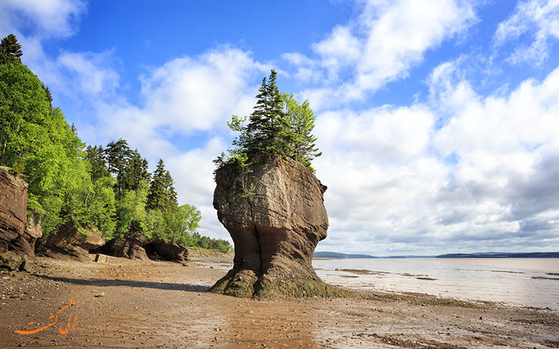 صخره های هاپول | Hopewell Rocks صخره های هاپول | Hopewell Rocks