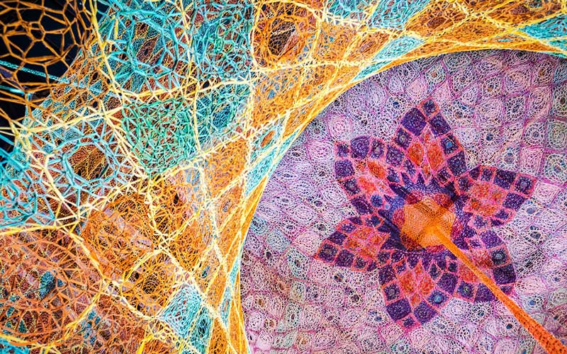 ایجاد یک اثر هنری جدید در متروی زوریخ ایجاد یک اثر هنری جدید در متروی زوریخ
