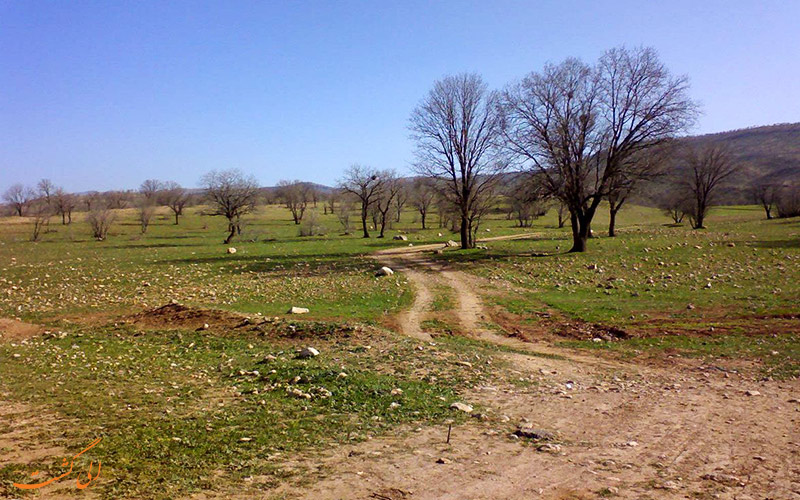 3 پارک های جنگلی ایران