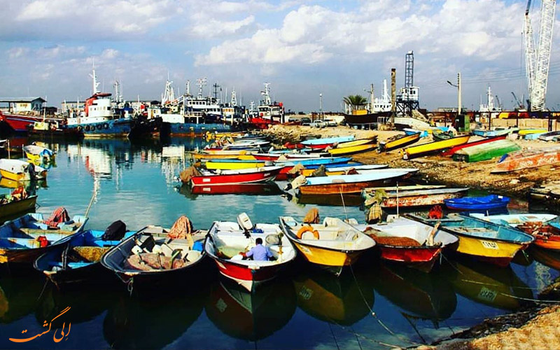 ریشهر ریشهر