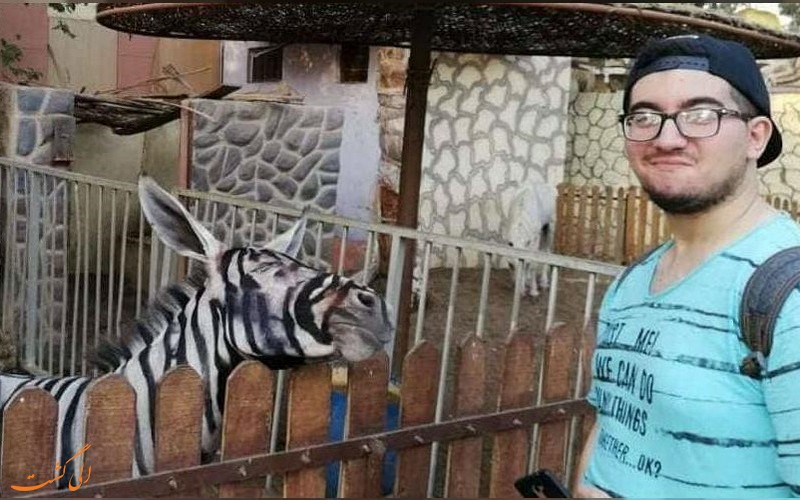 رنگ کردن خر به جای گورخر رنگ کردن خر به جای گورخر