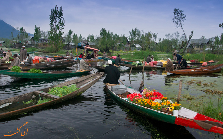 بازار گل شناور کشمیر بازار گل شناور کشمیر