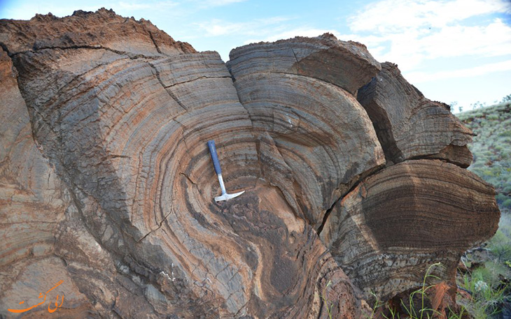 stromatolite.jpg