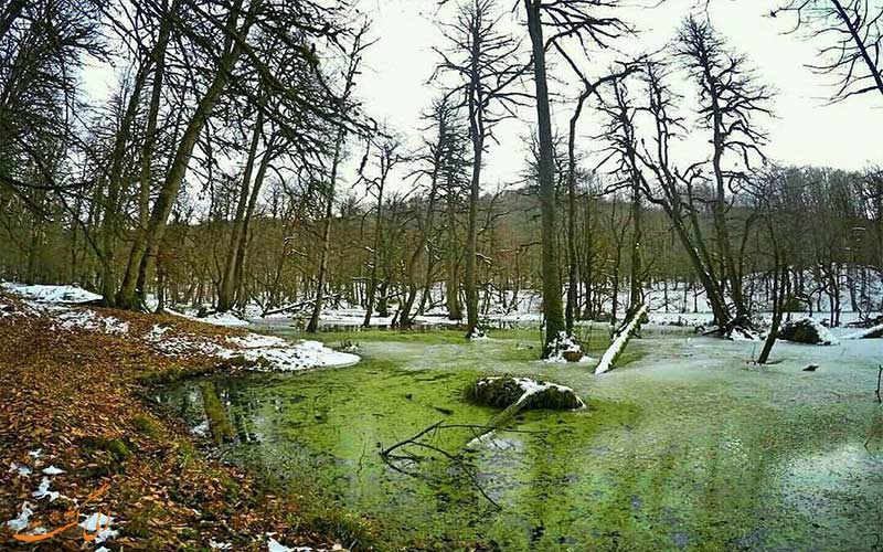 مرداب-دیوک مرداب-دیوک