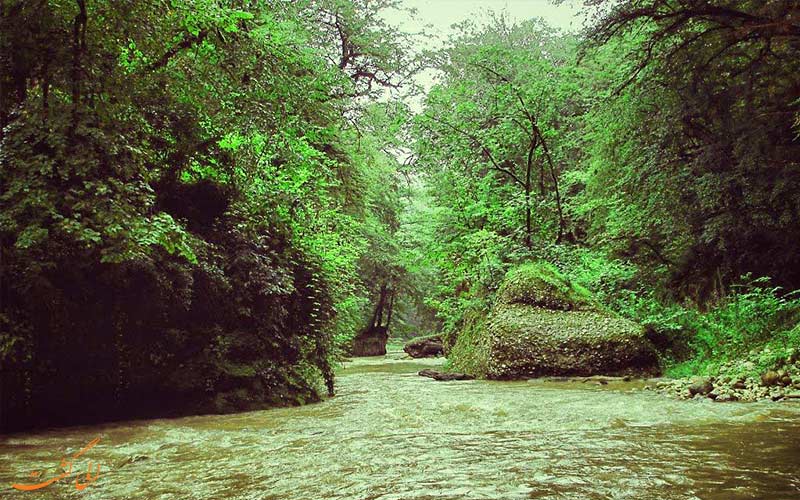 پلنگ-دره-مازندران پلنگ-دره-مازندران
