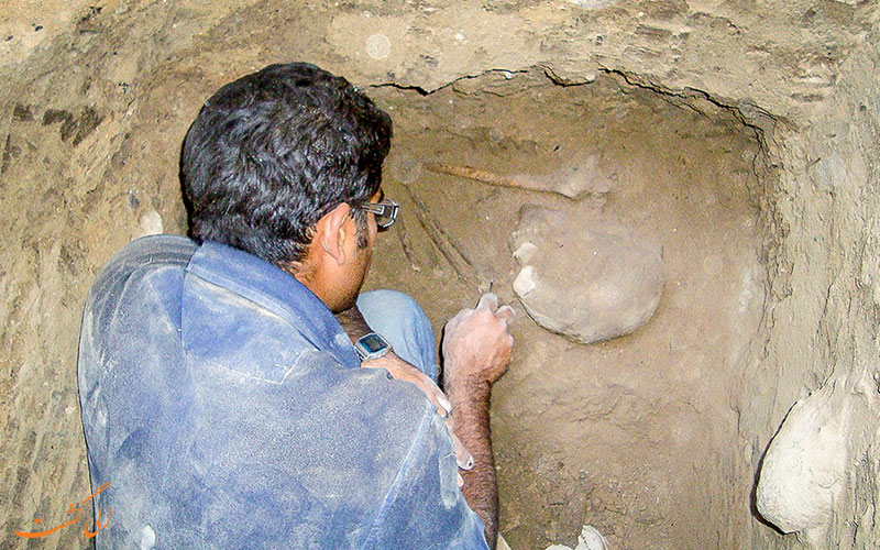 کشف اسکلت 7500 ساله کشف اسکلت 7500 ساله