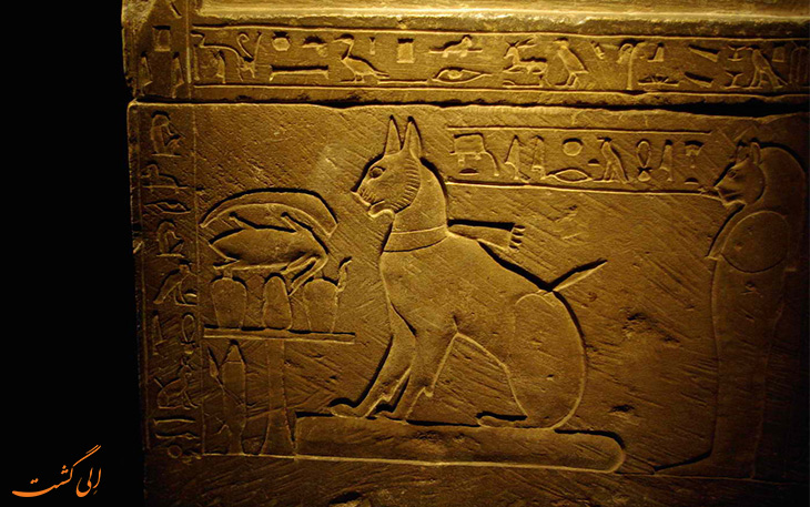 گربه در مصر باستان گربه در مصر باستان