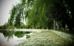 پارک ساحلی زرین شهر، طبیعتی جذاب در اطراف اصفهان