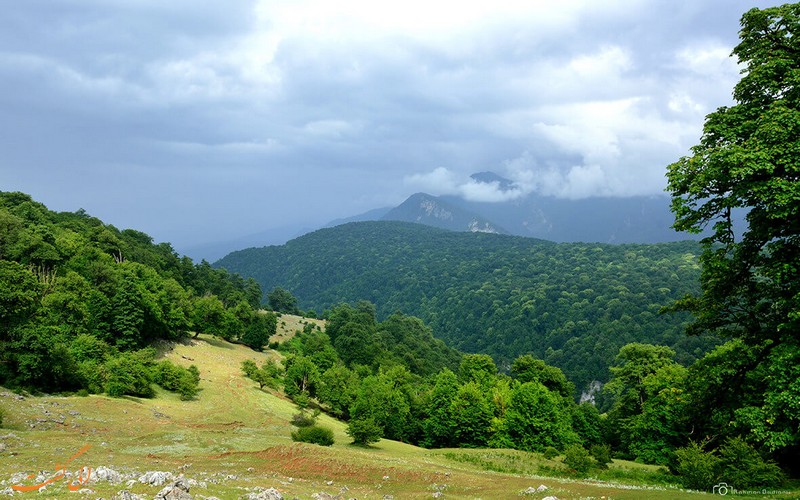 روستای آلاشت روستای آلاشت