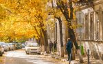 آشنایی با بهترین جاذبه های پاییزی گرجستان