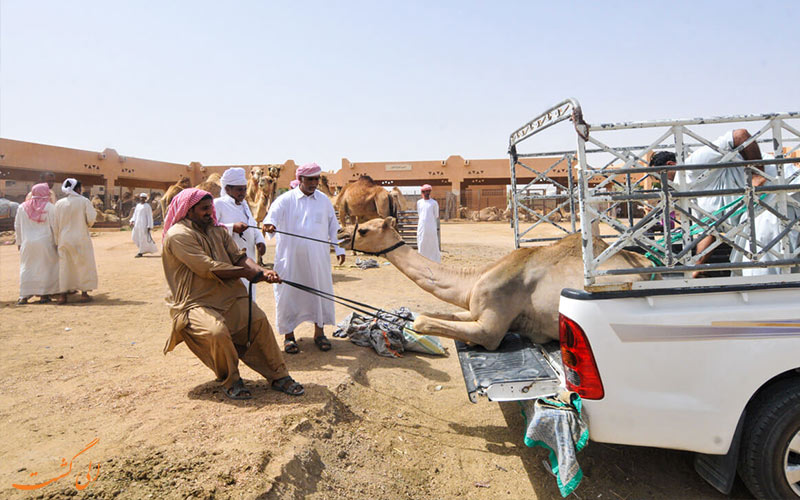 سفر 7 روزه به دبی-العین سفر 7 روزه به دبی-العین