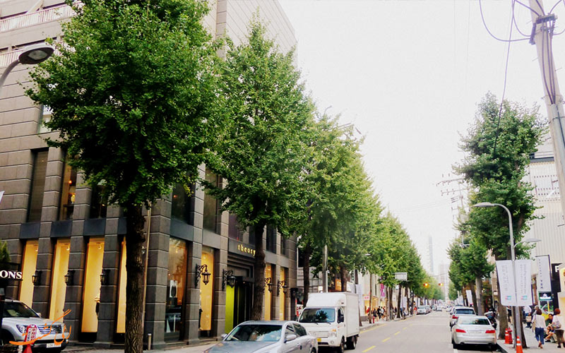سینسا دونگ سینسا دونگ