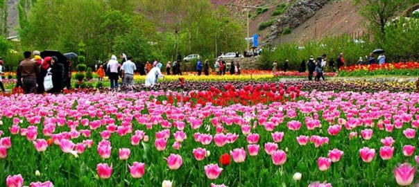 هلند کوچک ایران