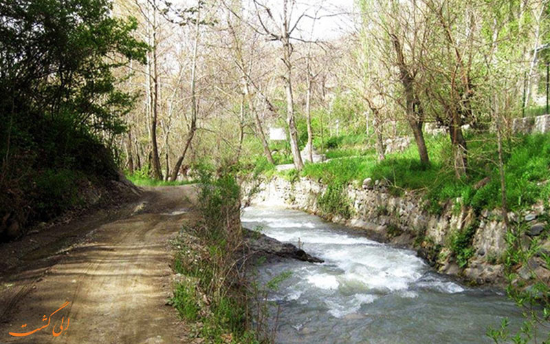 روستا روستا