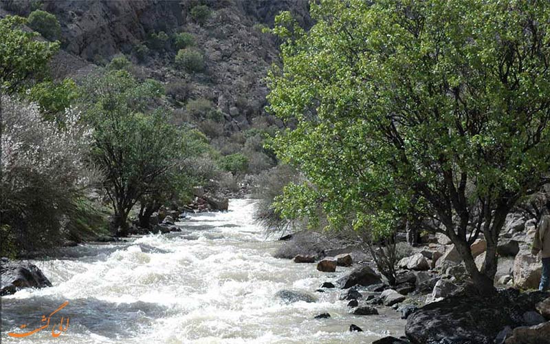 پارک ملی حیات وحش بختگان شیراز پارک ملی حیات وحش بختگان شیراز