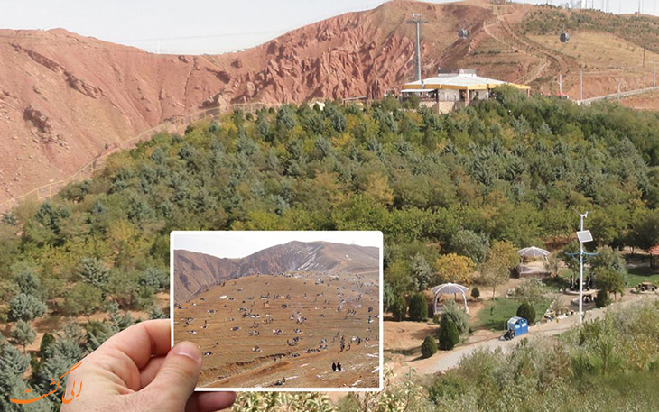 جنگلزایی در کوه عینالی جنگلزایی در کوه عینالی