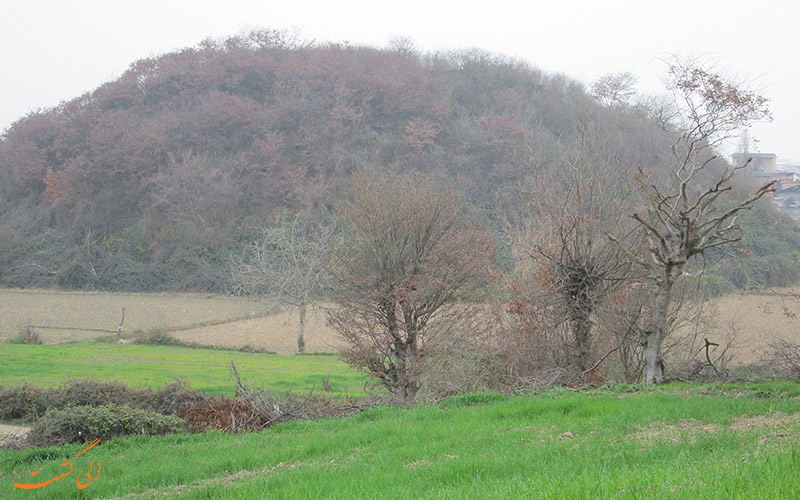 گردکوه گردکوه