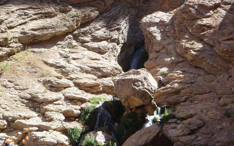 اجنه اجنه