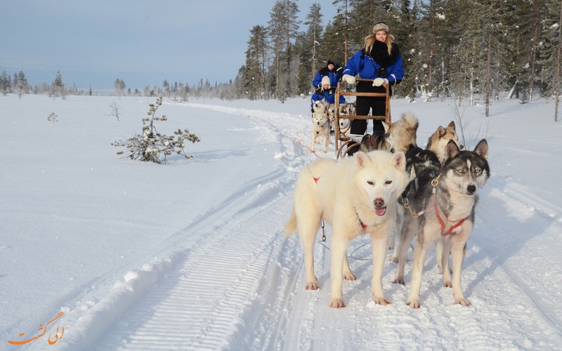 husky-safari-dog-sledding-excursion-lapland-finland-1.jpg