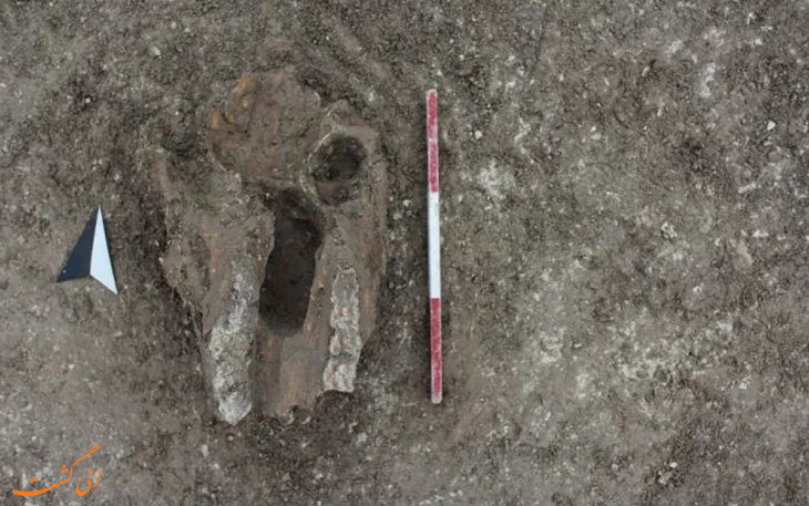 کشف اسکلت‌های 3000 ساله در آکسفوردشایر انگلستان