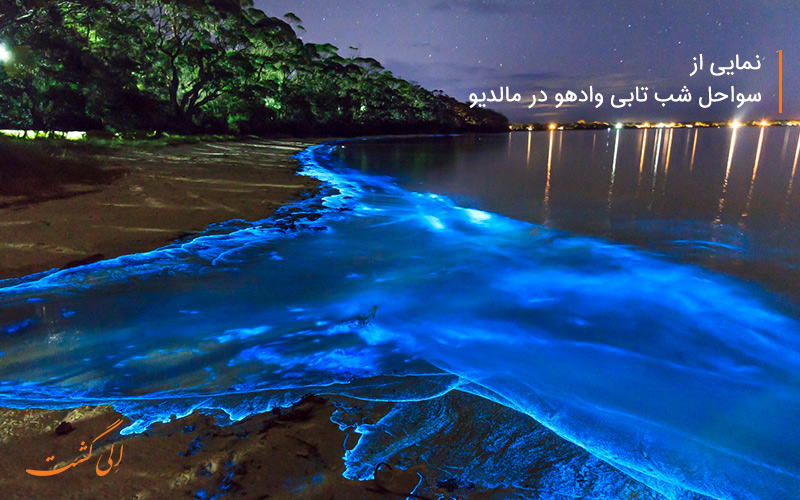 سواحل شب تابی وادهو