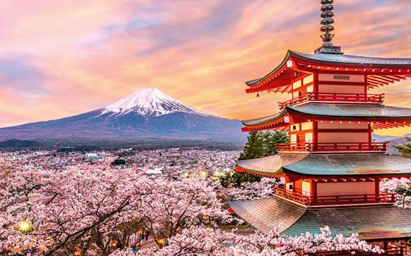 تصویری از کوه فوجی و شکوفه های گیلاس