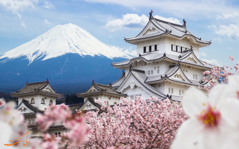 تصویری از کوه فوجی و شکوفه های گیلاس